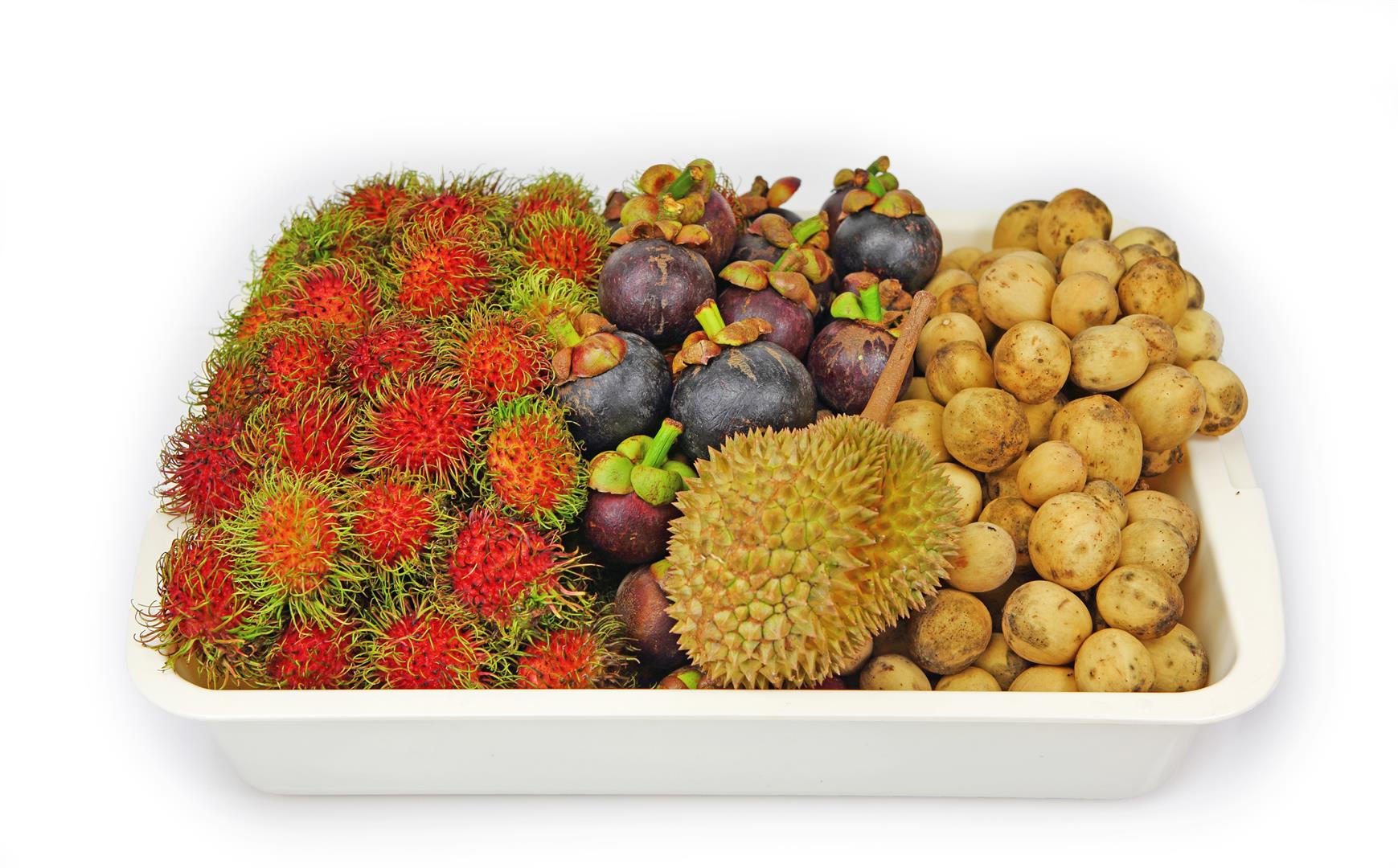 How close is the Eastern Fruit...