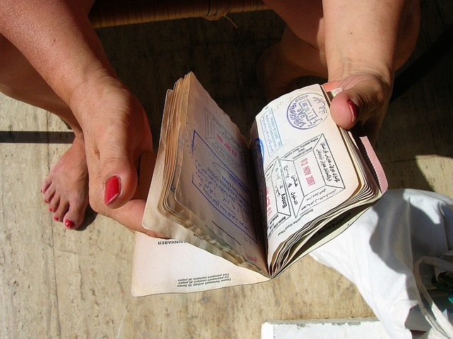 New Passport Guide