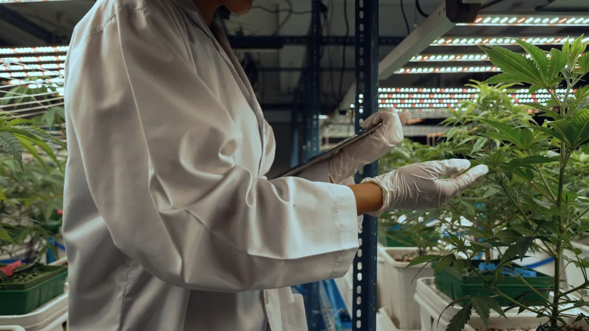 提升生物基产品的竞争力以支持BCG模式