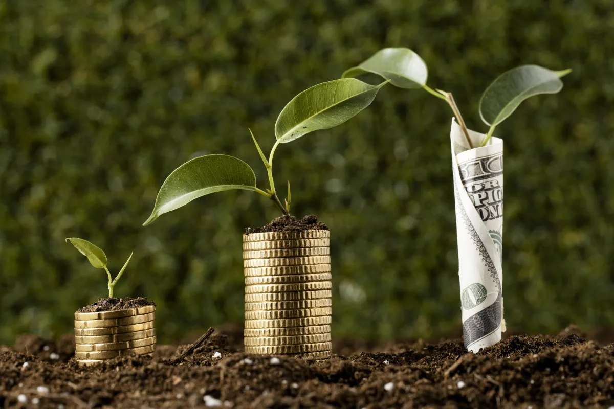 “Carbon price” measures and th...