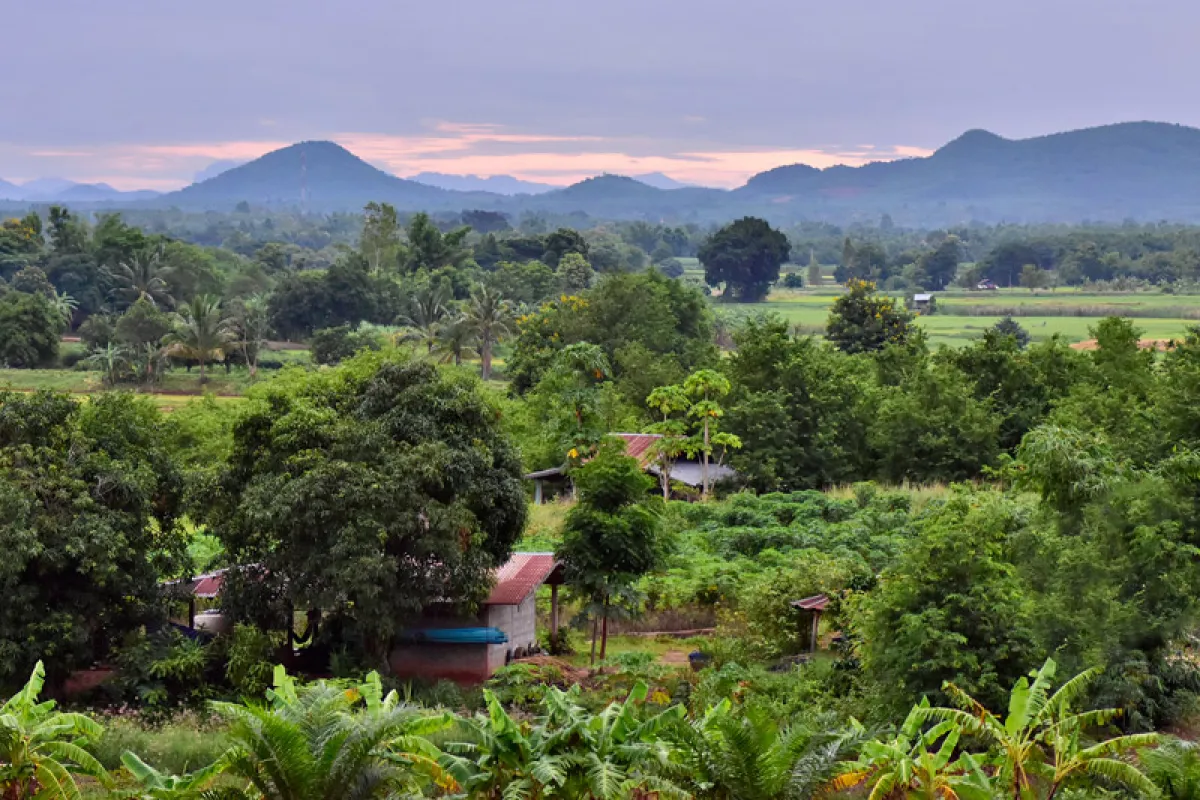 Agrotourism – Plant Thai Farm,...