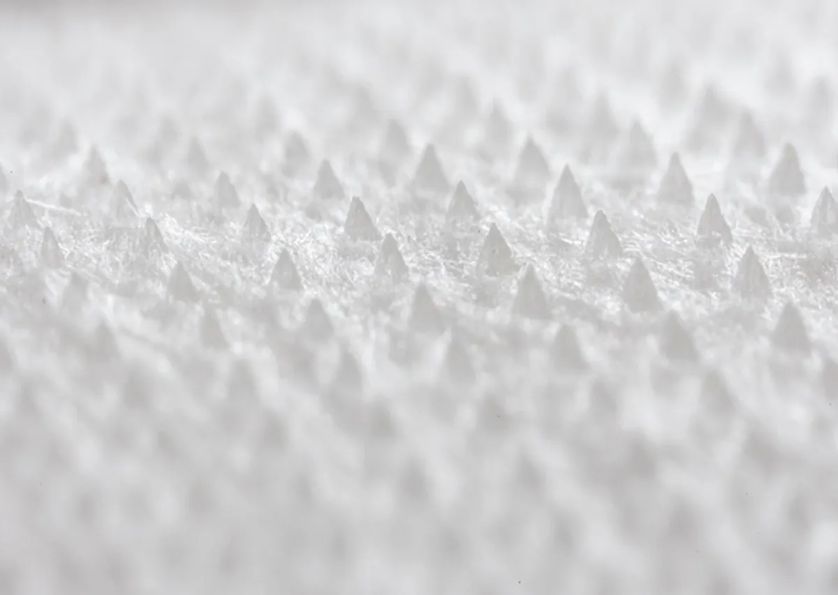 "Microspike" ist ein innovatives Mikronadel-Pflaster, das den Markt für Gesundheit und Schönheit bedient.
