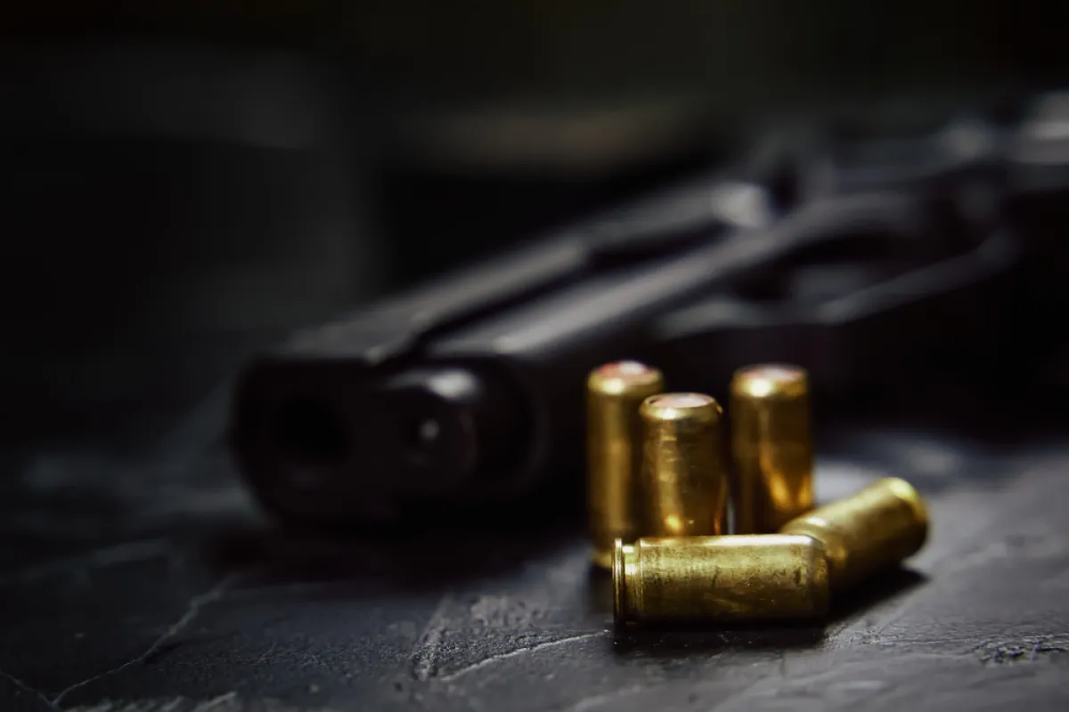 拳銃、弾薬、爆発物、発火花、および模造銃器の輸入の基準および許可の審査基準とその手順
