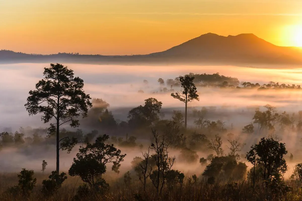 Seven spectacular destinations...