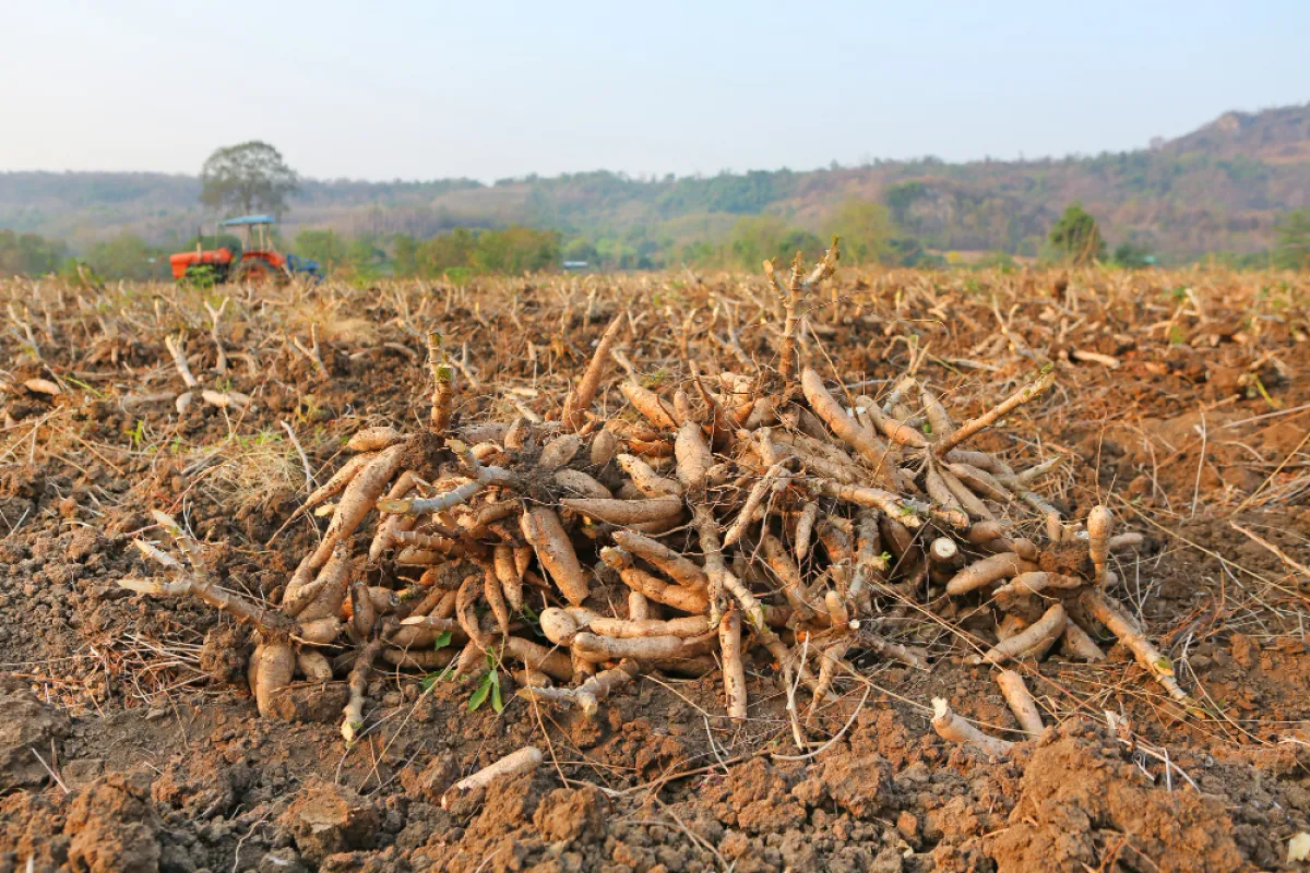 The Department of Agricultural...
