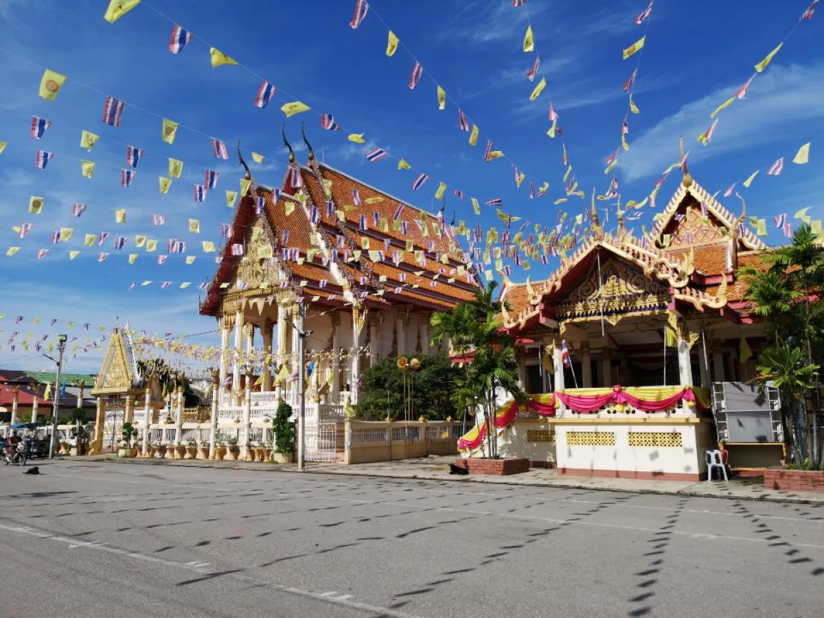 Mutelu Community Tourism: Mamo...