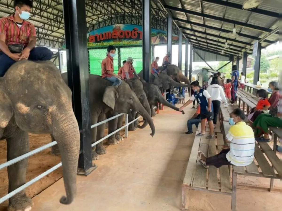 Mutelu Community Tourism: Paka...
