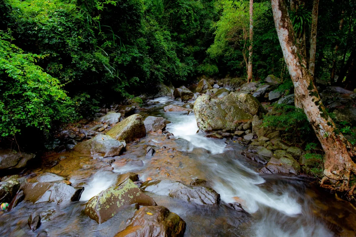 Mutelu Community Tourism: Payi...