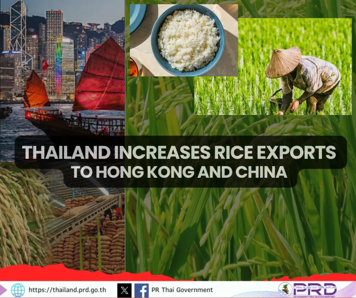 🍚🏆🎯Thailand plans to increa...
