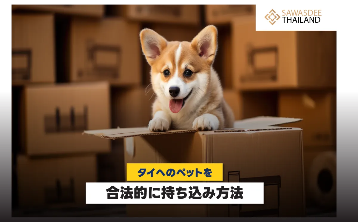 タイへのペットを合法的に持ち込...