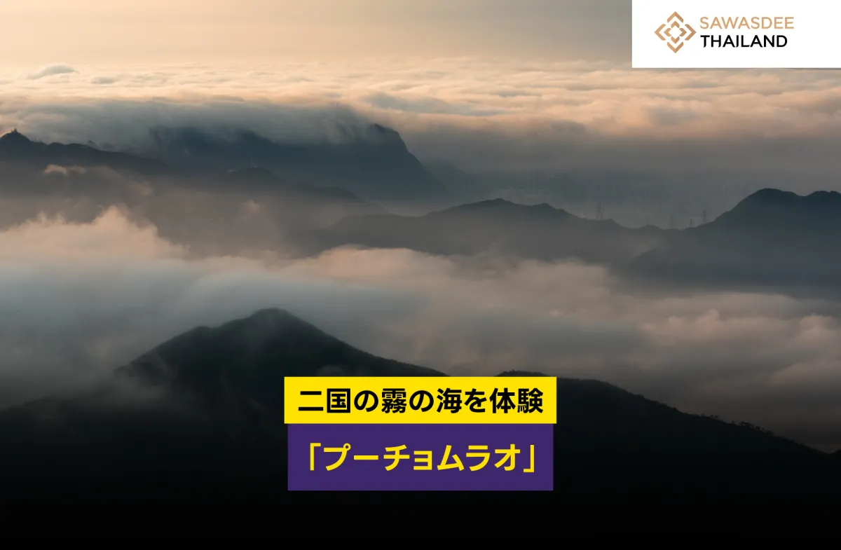 二国の霧の海を体験「プーチョム...