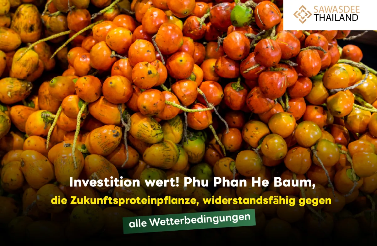 Investition wert! Phu Phan He...