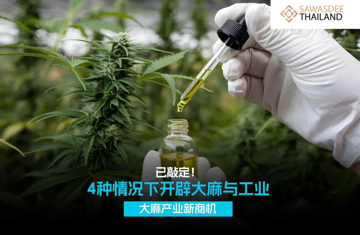 已敲定！4种情况下开辟大麻与工...