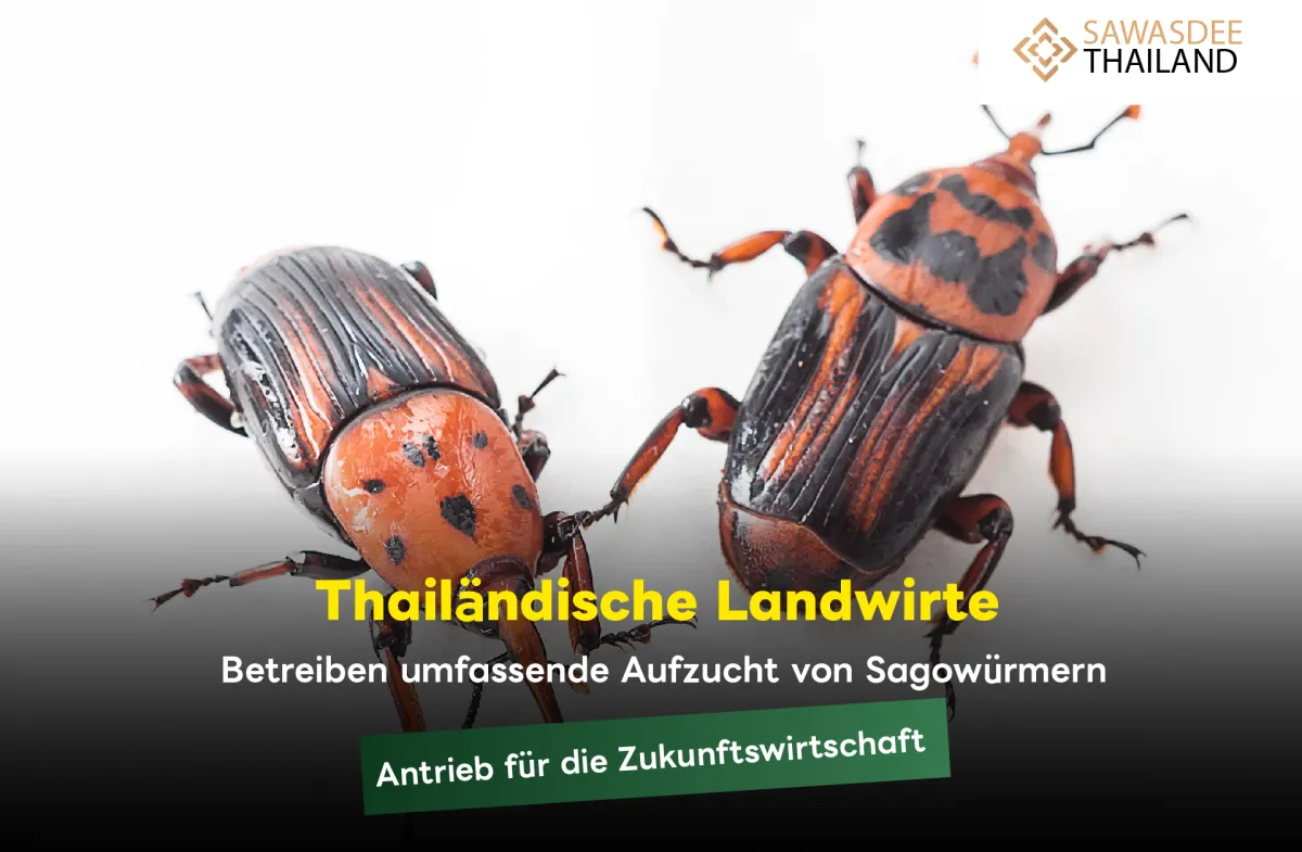 Thailändische Landwirte betrei...