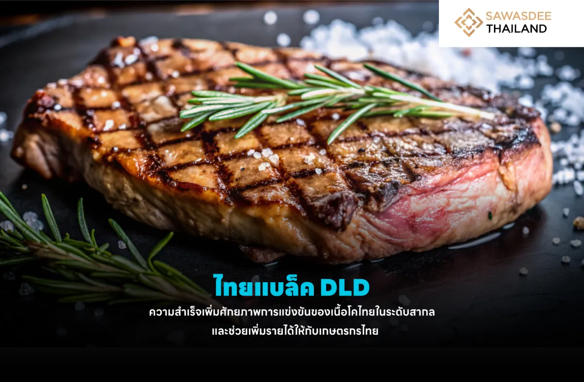 ไทยแบล็ค DLD ความสำเร็จเพิ่มศักยภาพการแข่งขันของเนื้อโคไทยในระดับสากล และช่วยเพิ่มรายได้ให้กับเกษตรกรไทย