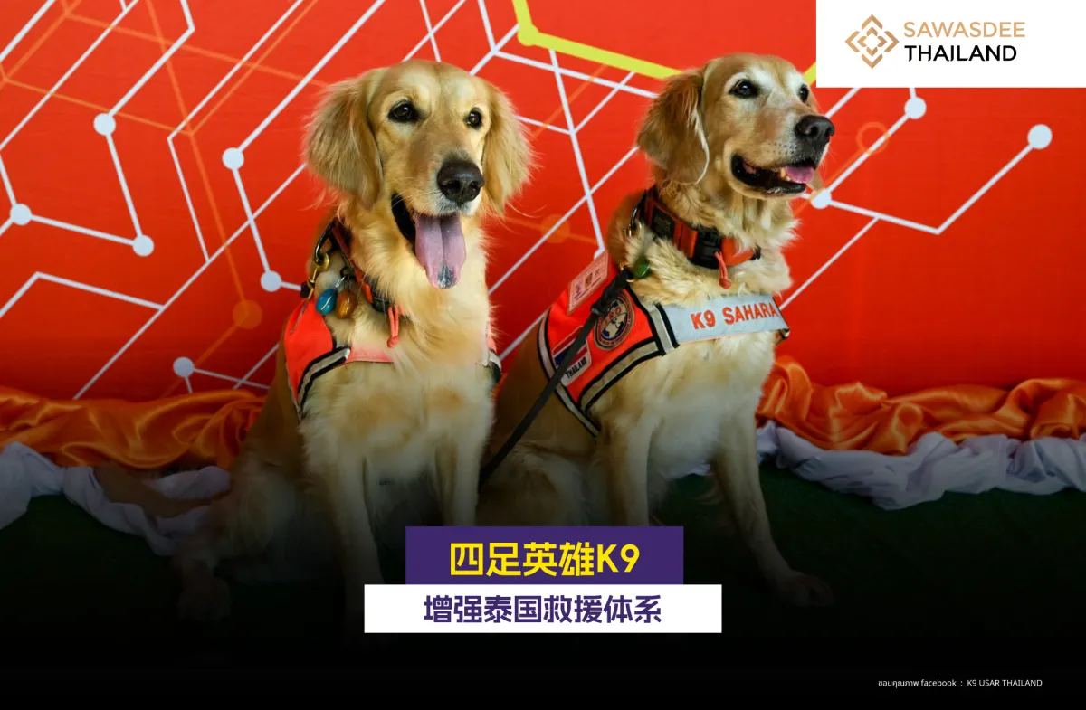 四足英雄K9 增强泰国救援体系