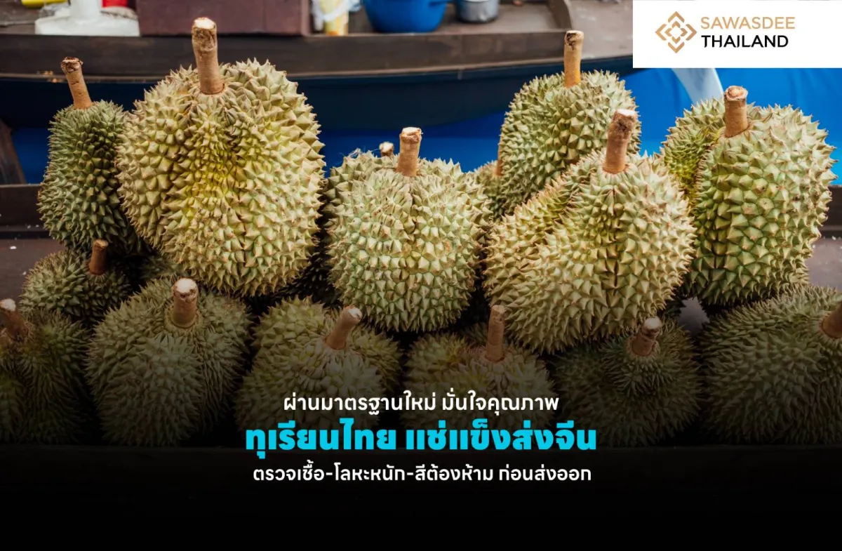 ผ่านมาตรฐานใหม่ มั่นใจคุณภาพ ทุเรียนไทยแช่แข็งส่งจีน ตรวจเชื้อ-โลหะหนัก-สีต้องห้าม ก่อนส่งออก