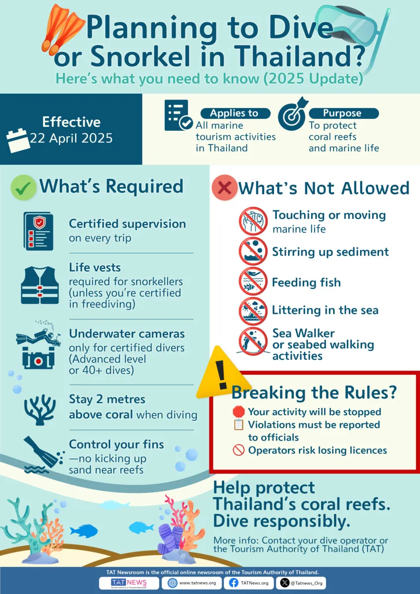 Planning a Dive in Thailand? New Marine Rules You Must Know