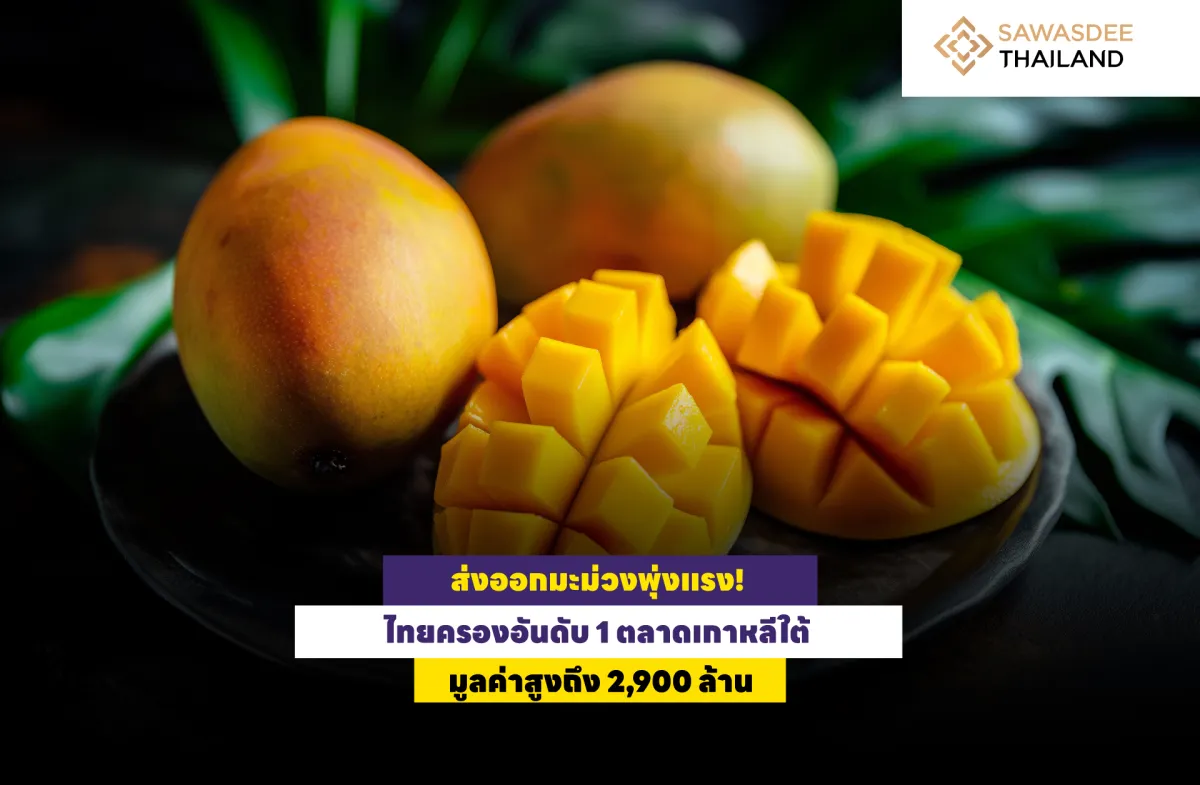 ส่งออกมะม่วงพุ่งแรง! ไทยครองอันดับ 1 ตลาดเกาหลีใต้ มูลค่าสูงถึง 2,900 ล้าน