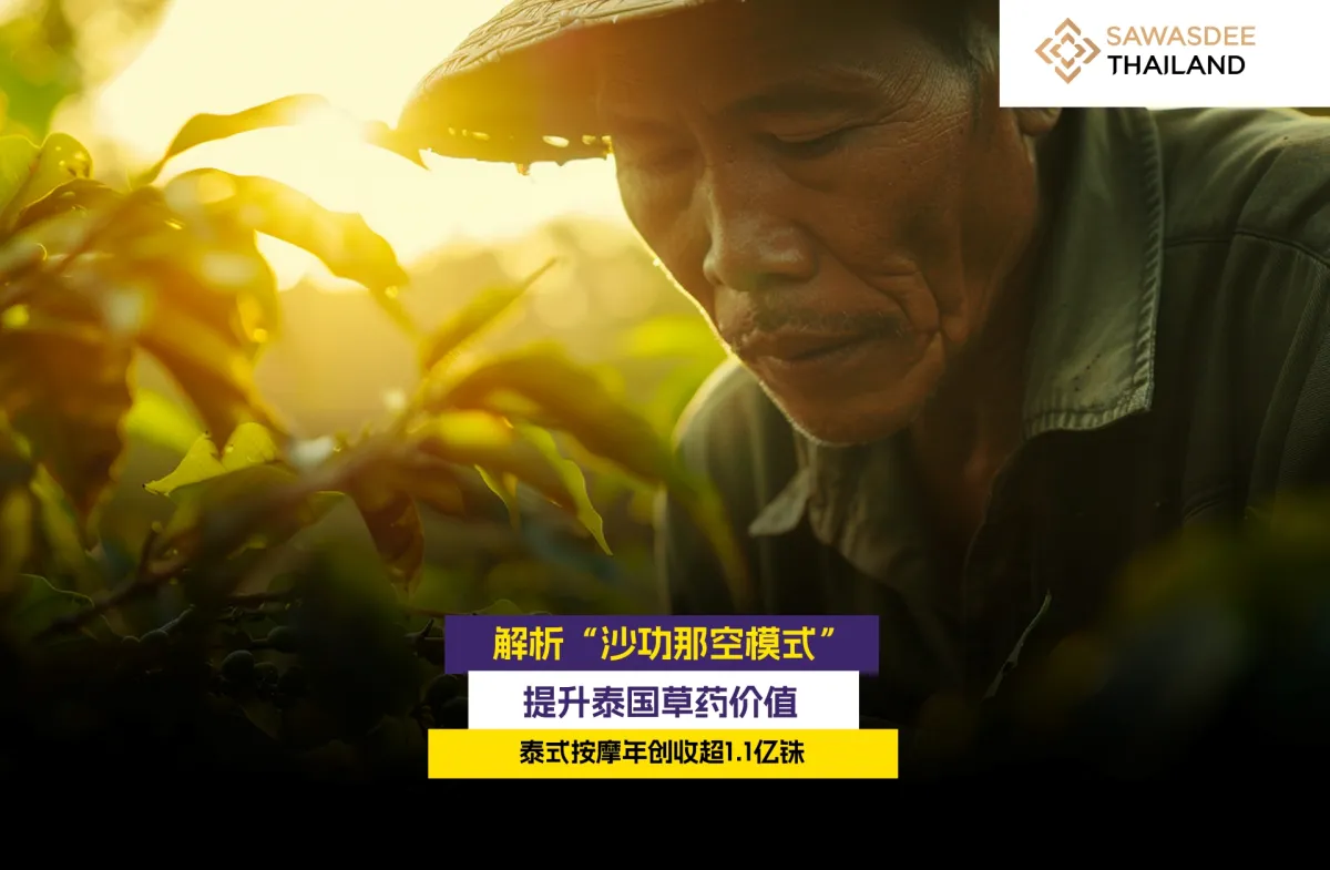 解析“沙功那空模式” 提升泰国草药价值 泰式按摩年创收超1.1亿铢