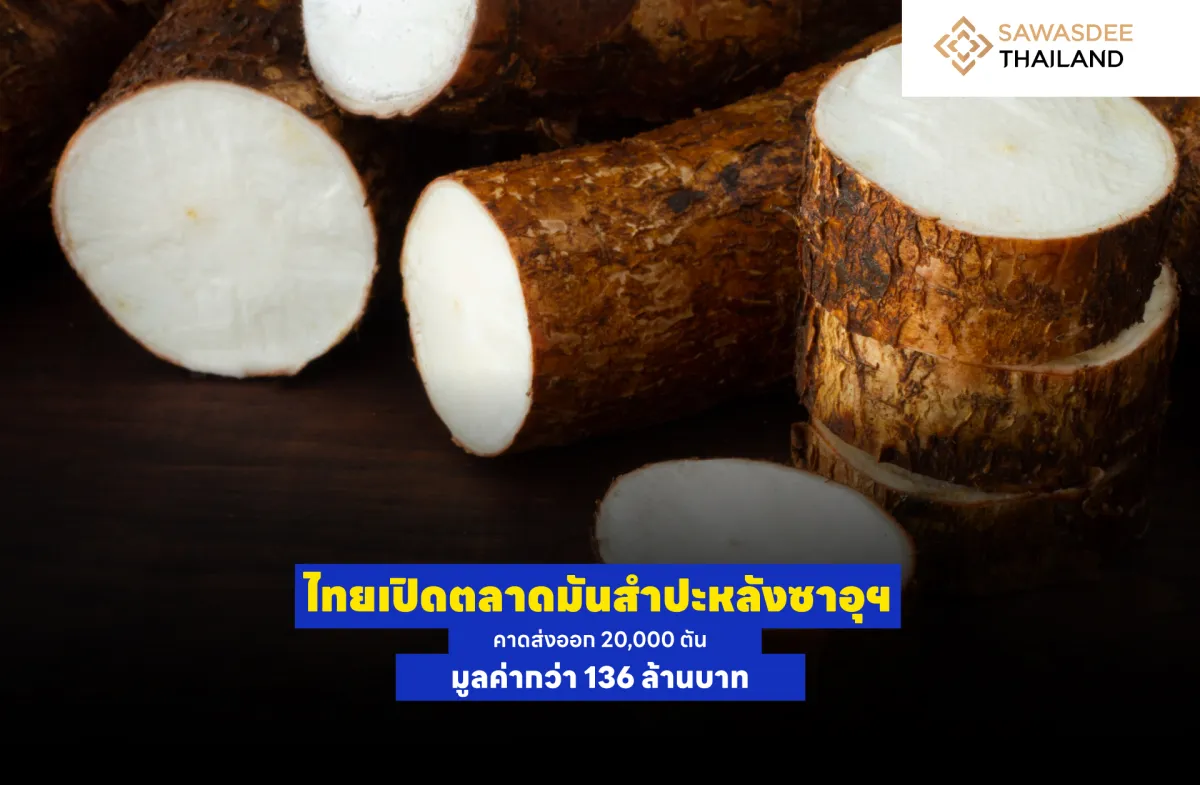 ไทยเปิดตลาดมันสำปะหลังซาอุฯ คาดส่งออก 20,000 ตัน มูลค่ากว่า 136 ล้านบาท
