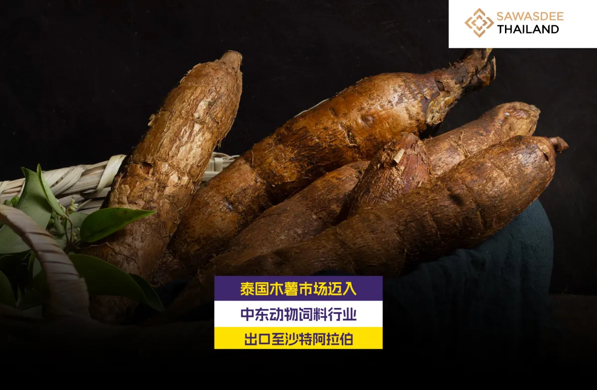 泰国木薯市场迈入 中东动物饲料...