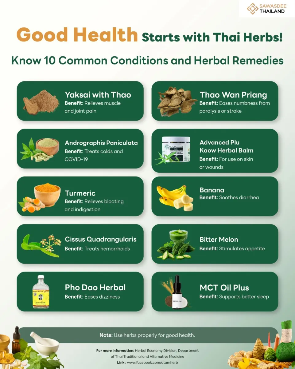 Headline: Good Health Starts with Thai Herbs!  Know 10 Common Conditions and Herbal Remedies