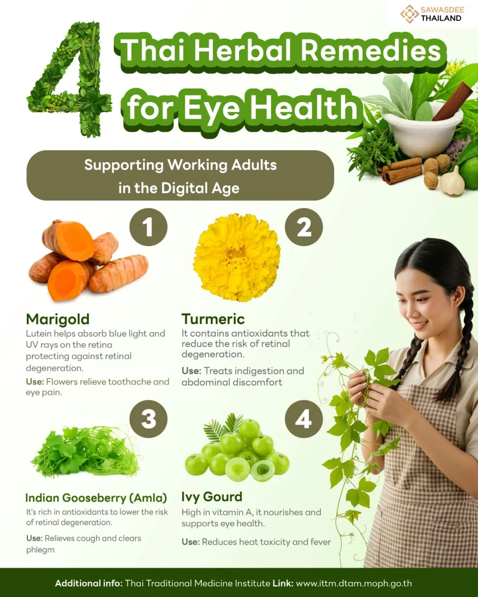 Thai Herbal Remedies for Eye Health Supporting Working Adults in the Digital Age