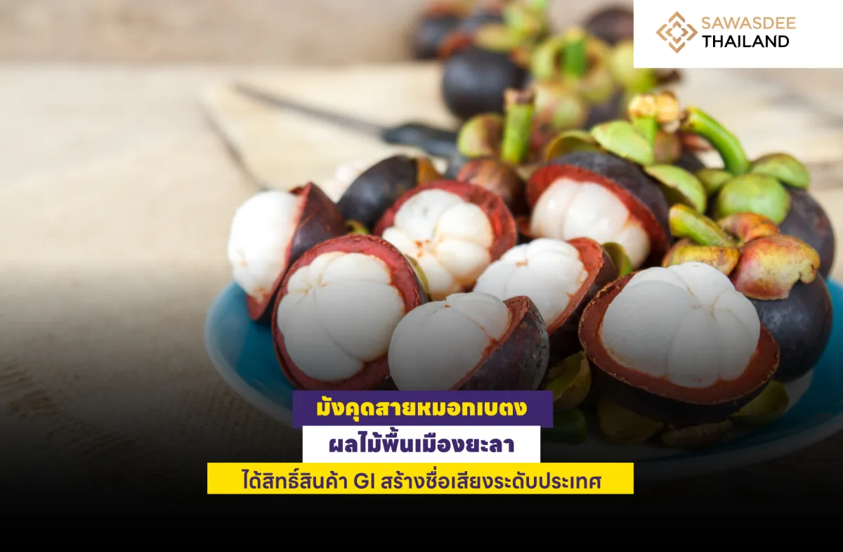 มังคุดสายหมอกเบตง ผลไม้พื้นเมื...