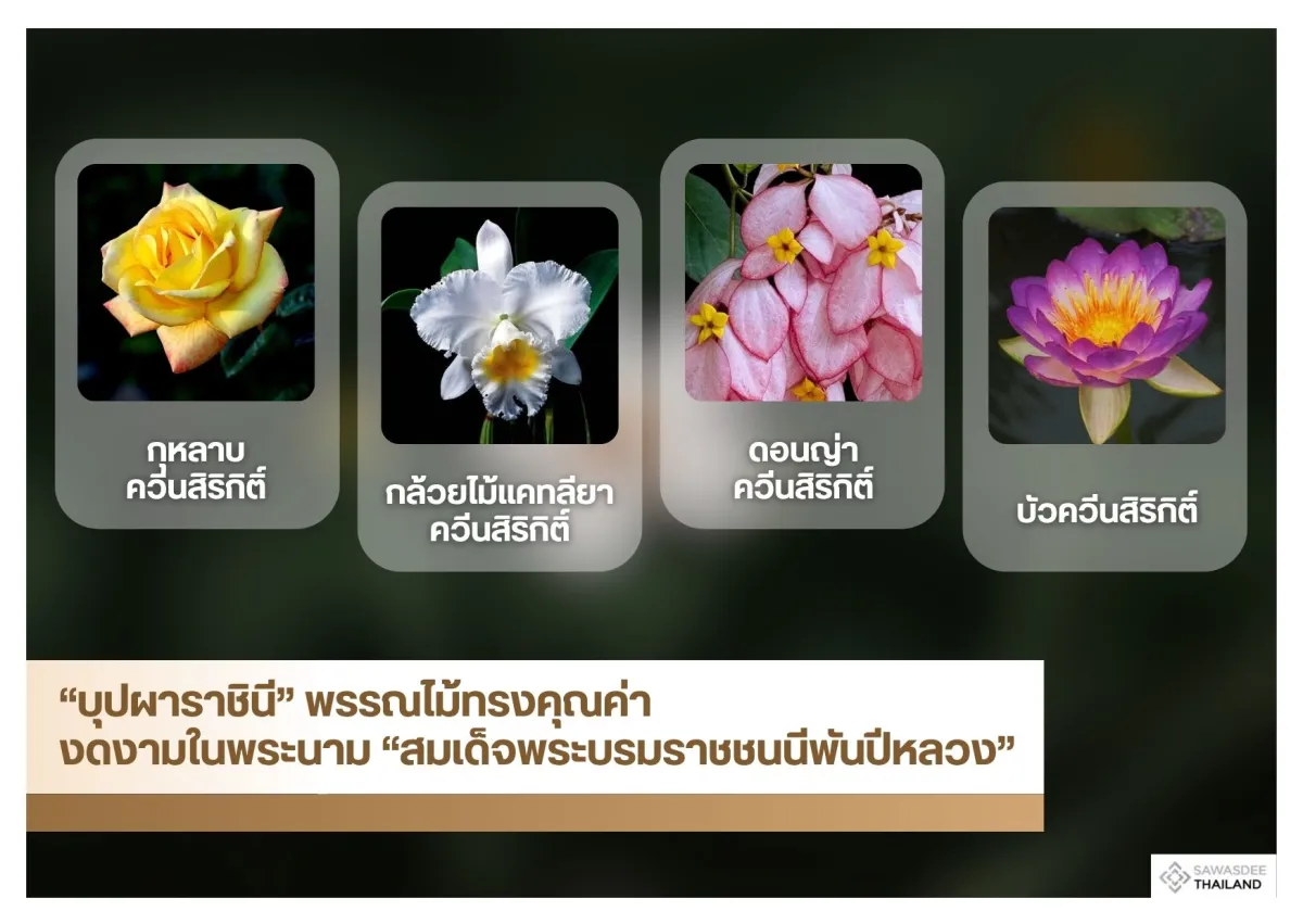 “บุปผาราชินี” พรรณไม้ทรงคุณค่า งดงามในพระนาม “สมเด็จพระบรมราชชนนีพันปีหลวง”