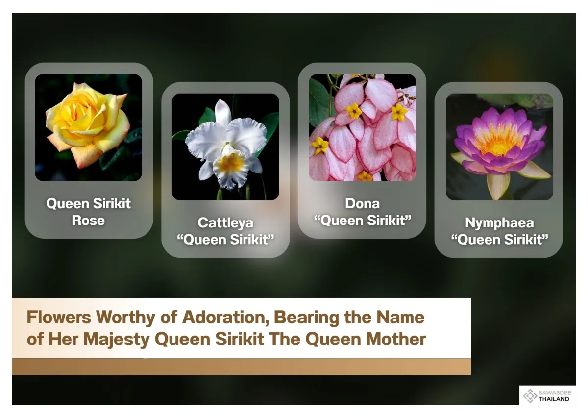Flowers Worthy of Adoration, Bearing the Name of Her Majesty Queen Sirikit The Queen Mother