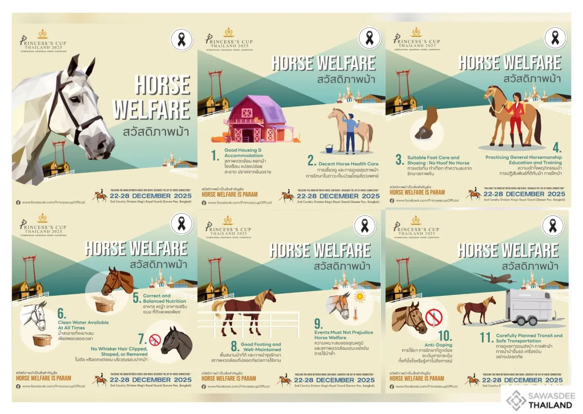 Horse Welfare สวัสดิภาพม้า เป็นสิ่งที่สำคัญยิ่ง…รักม้าดูแลม้ากันให้ถูกหลักตามขั้นตอนดังนี้