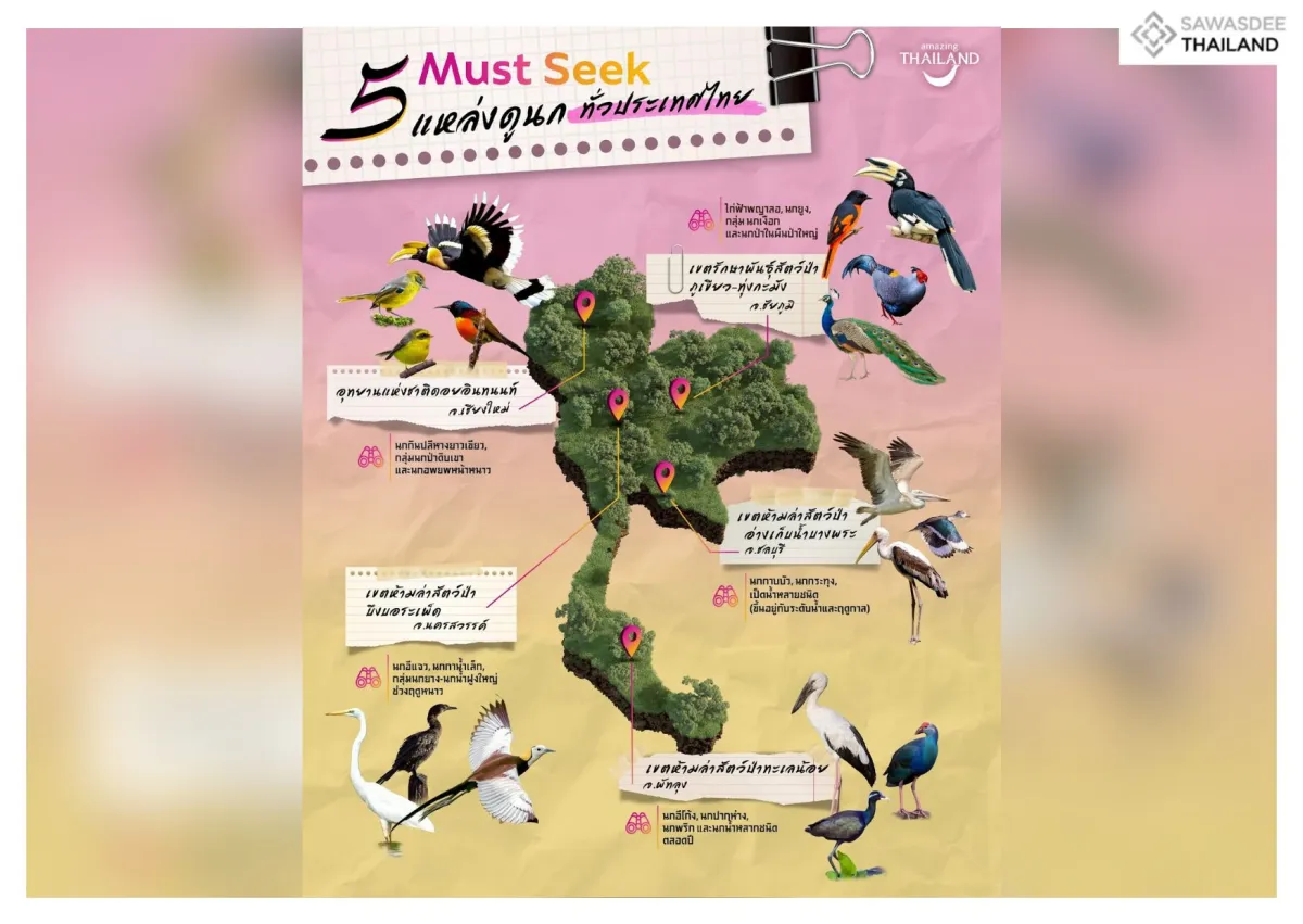 Must Seek: 5 Birdwatching Spots Across Thailand