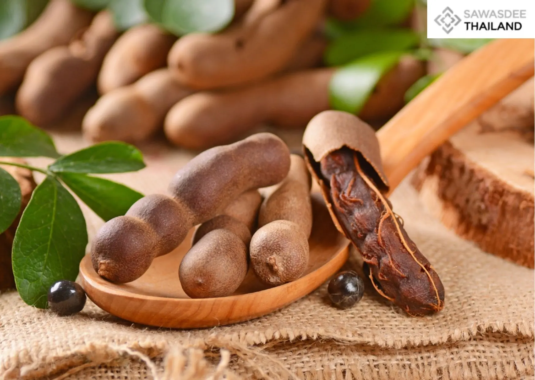 Trade Negotiations Department Partners to Elevate “Sweet Tamarind City” Products to FTA Markets
