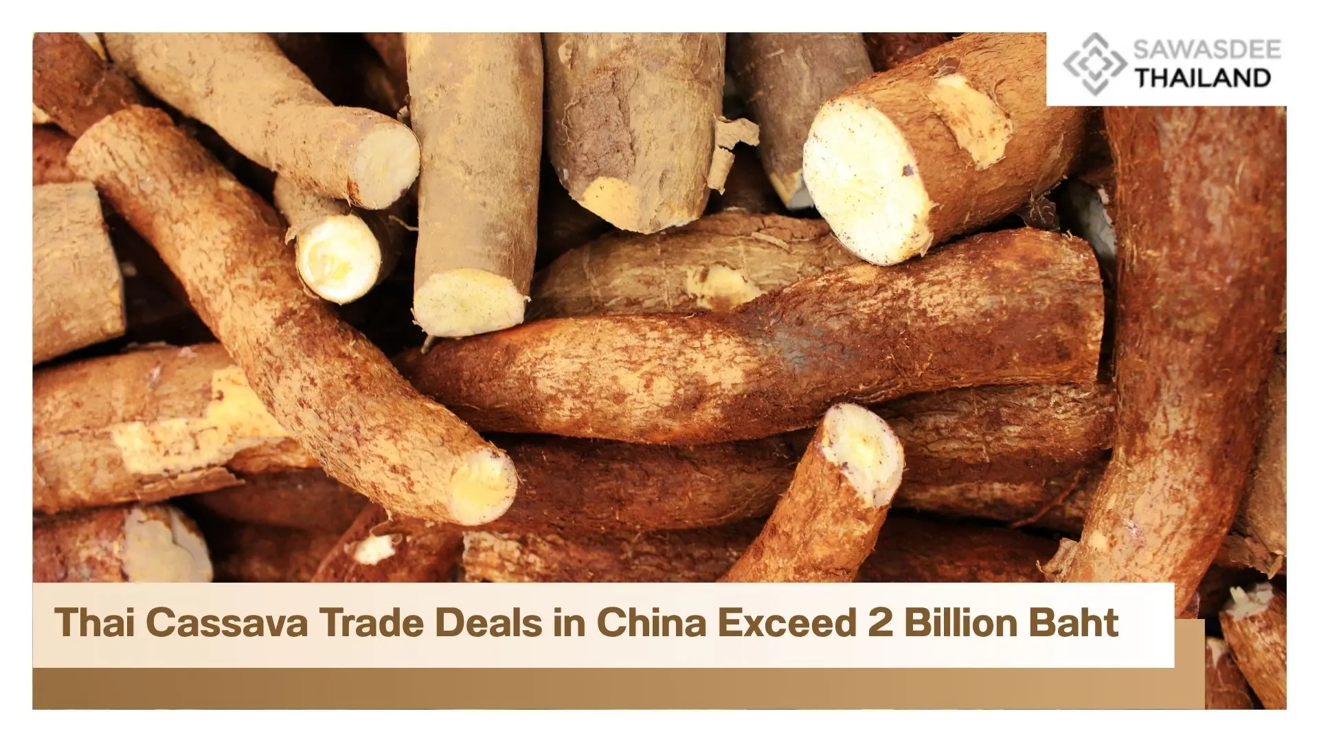 Thai Cassava Trade Deals in China Exceed 2 Billion Baht