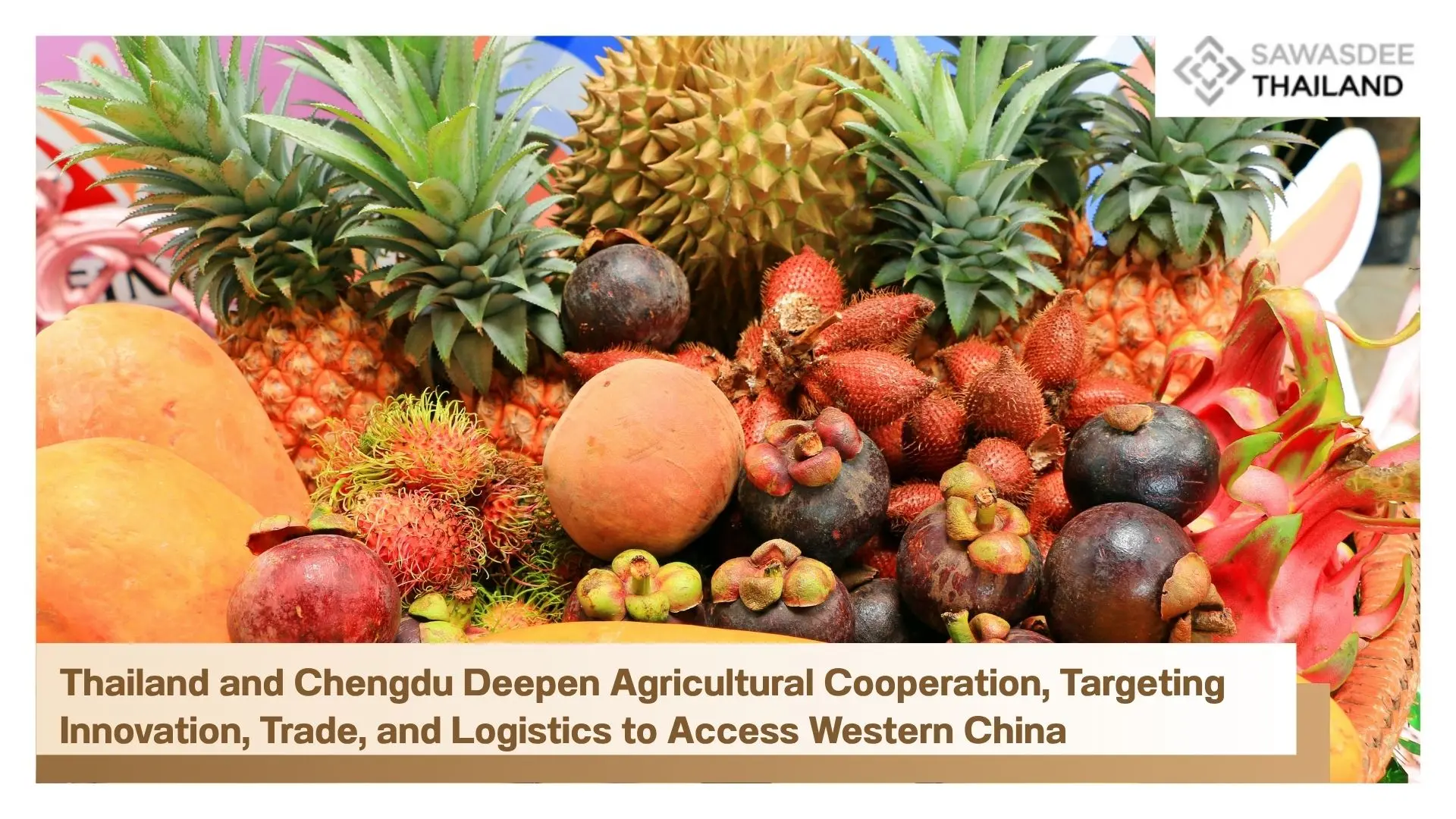 Thailand and Chengdu Deepen Agricultural Cooperation, Targeting Innovation, Trade, and Logistics to Access Western China