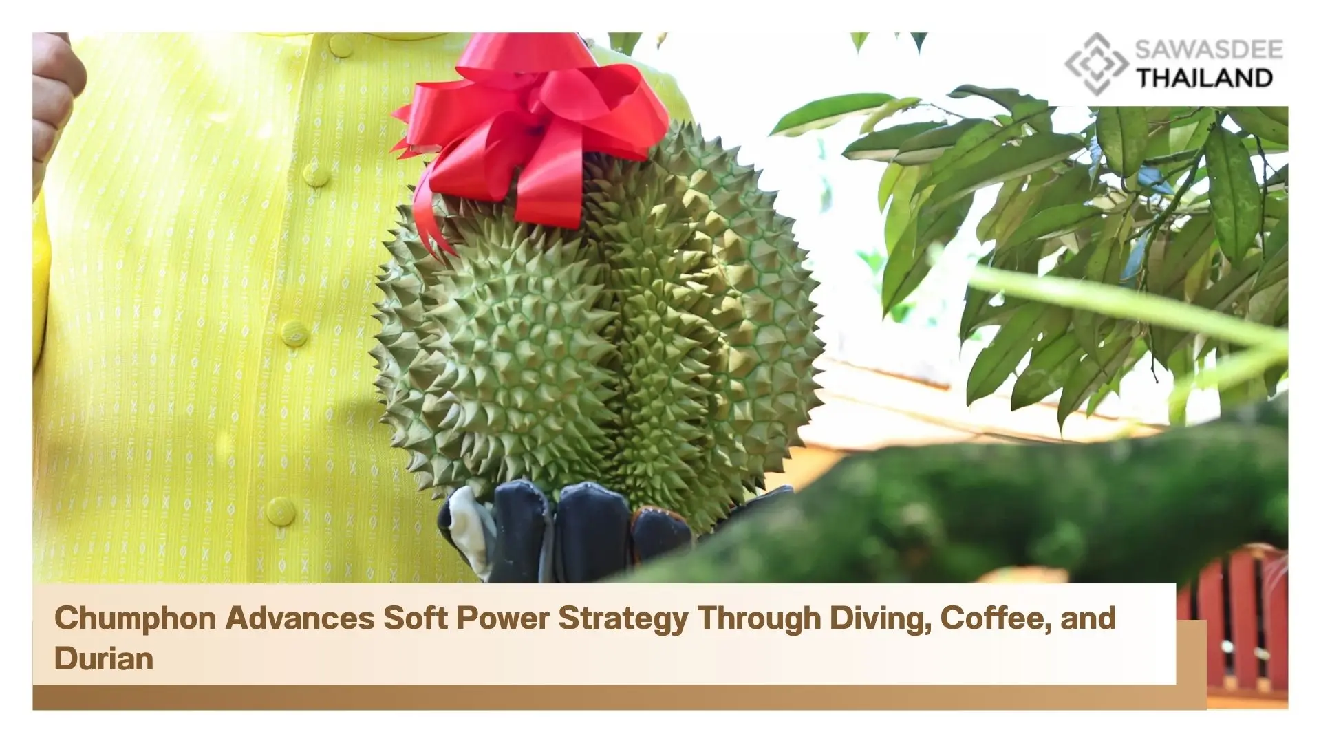 Chumphon Advances Soft Power Strategy Through Diving, Coffee, and Durian