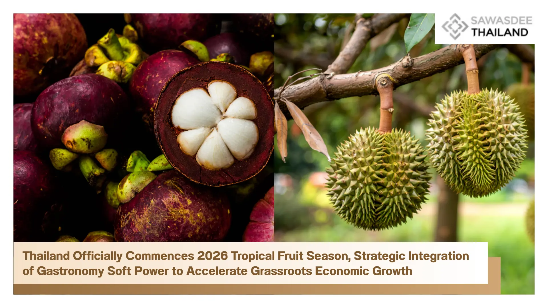 Thailand Officially Commences 2026 Tropical Fruit Season, Strategic Integration of Gastronomy Soft Power to Accelerate Grassroots Economic Growth